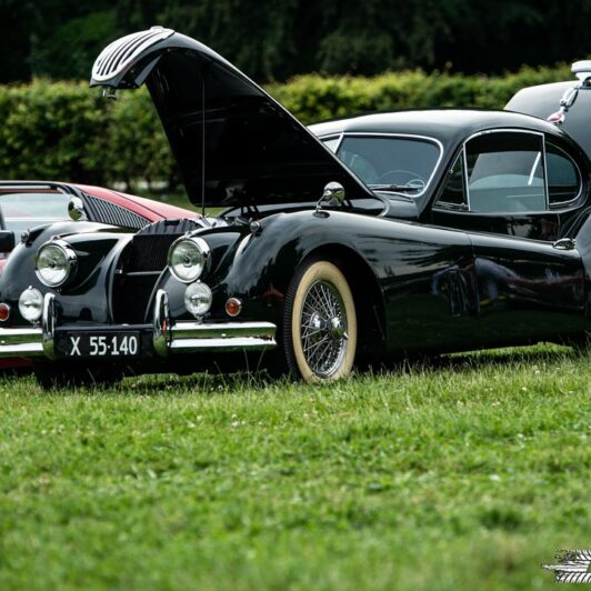 All Classic Cars på Præstø Havn - Racelens