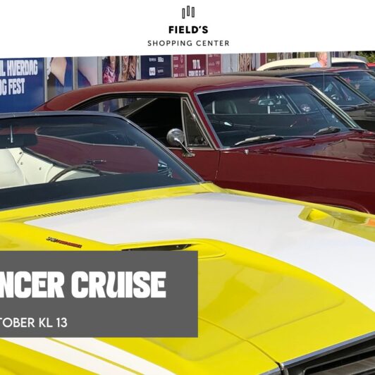 Knæk Cancer Cruise - Racelens