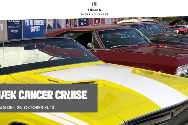 Knæk Cancer Cruise - Racelens